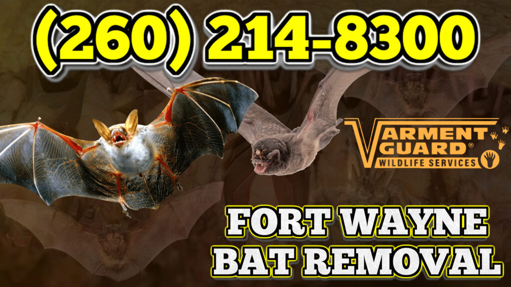 Uniondale bat control service image